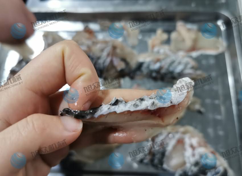 魚片機(jī)，片魚片機(jī)，片魚機(jī)，斜切魚片機(jī)，全自動(dòng)魚片機(jī)