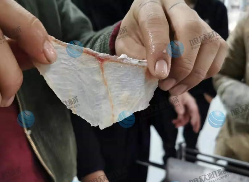 魚片機，魚片機器，片魚機，片魚片機，全自動斜切魚片機