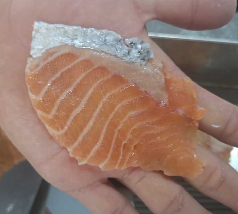 魚片機(jī)，自動(dòng)切魚片機(jī)，旭眾魚片機(jī)，多功能切魚片機(jī)，魚片機(jī)多少錢