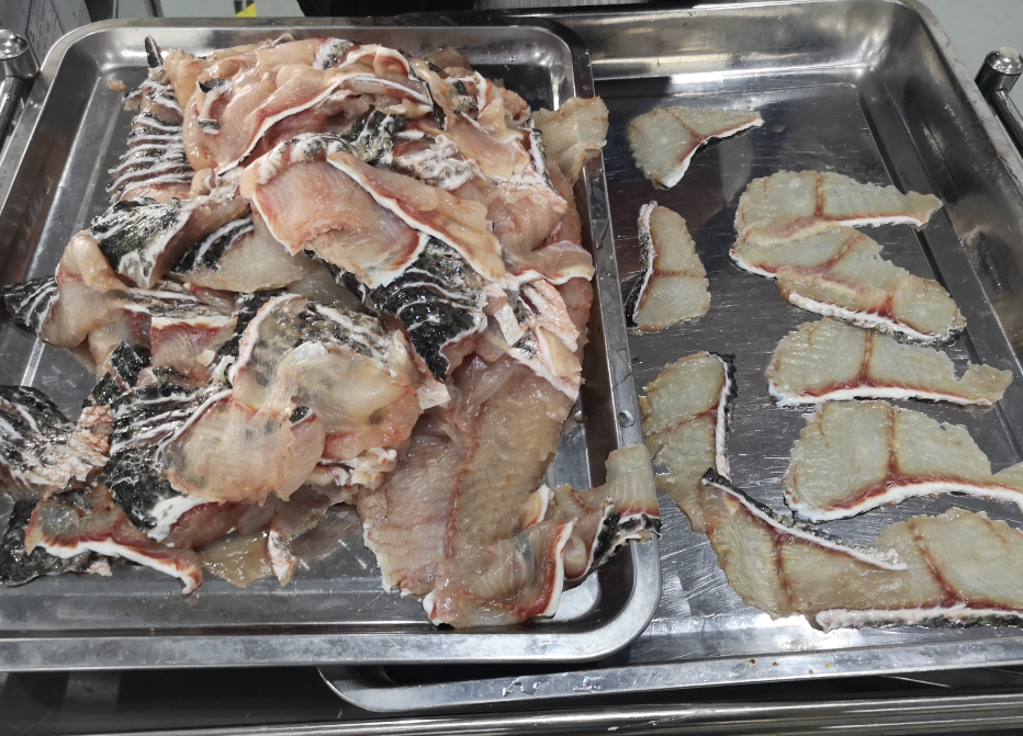 切魚片機(jī)，自動(dòng)切魚片機(jī)，片魚片機(jī)器，魚片機(jī)廠家，切魚片機(jī)多少錢