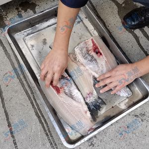 全自動(dòng)切魚(yú)片，去魚(yú)骨機(jī)