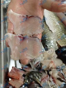 多功能斜切魚(yú)片機(jī)，切2.3mm魚(yú)片