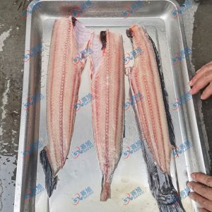 現(xiàn)場(chǎng)試機(jī)鯰魚(yú)，三枚開(kāi)片去魚(yú)骨機(jī)