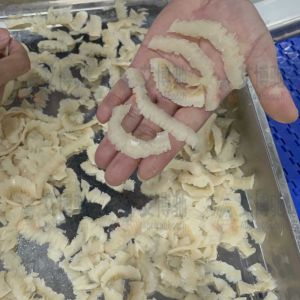 ABCH-3000斜切魚(yú)片機(jī)客戶(hù)切牛肚