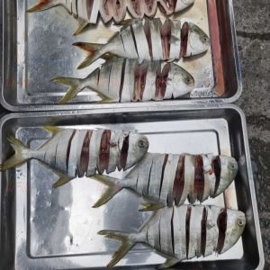 ABCH-003金鯧魚(yú)拉花機(jī)現(xiàn)場(chǎng)試機(jī)，效果不錯(cuò)